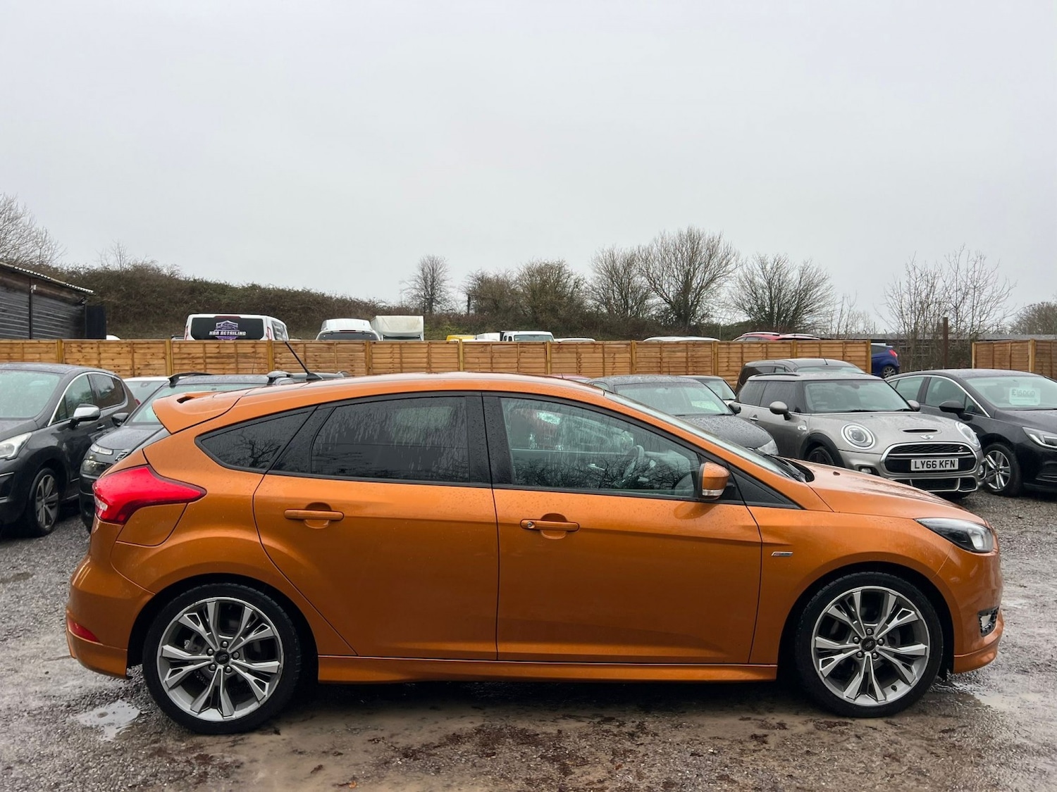 Used Ford Focus 2017 for sale - 77148228: Photo 8