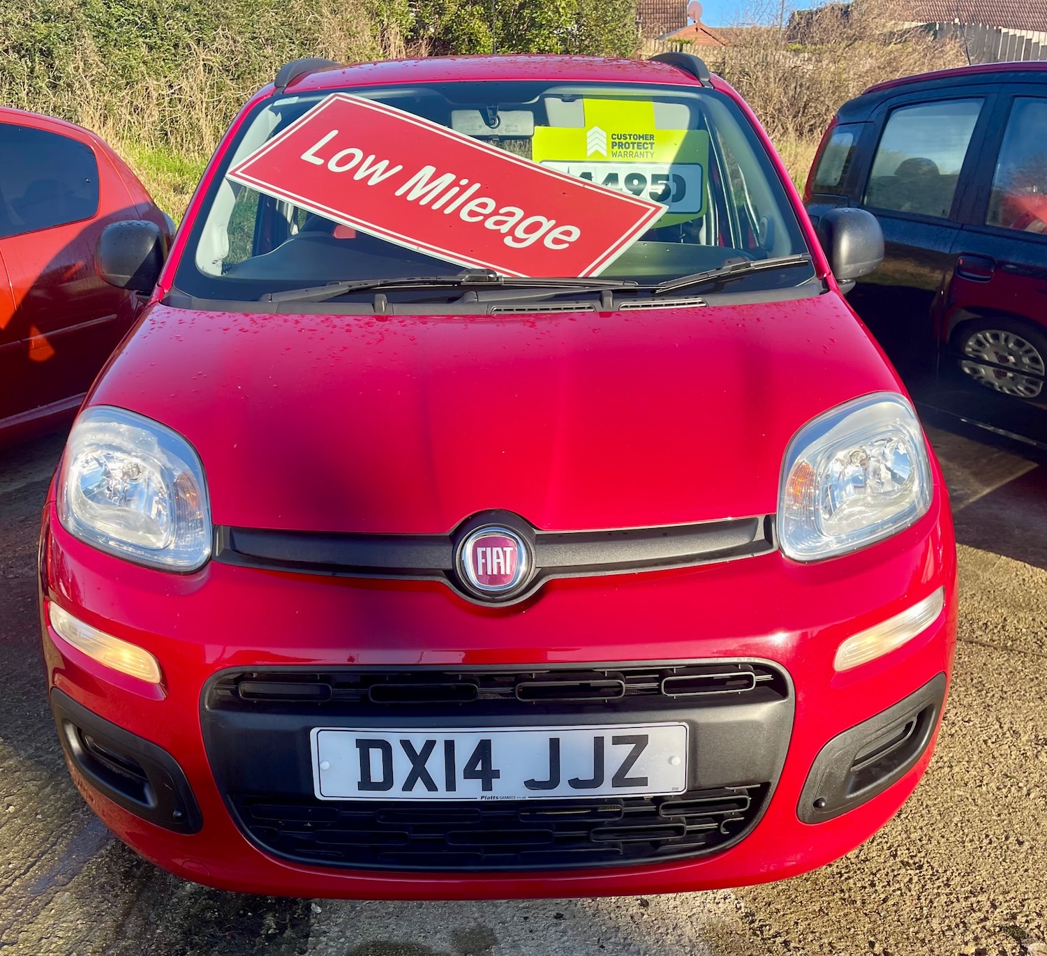 Used Fiat Panda 2014 for sale - 77554970: Photo 2