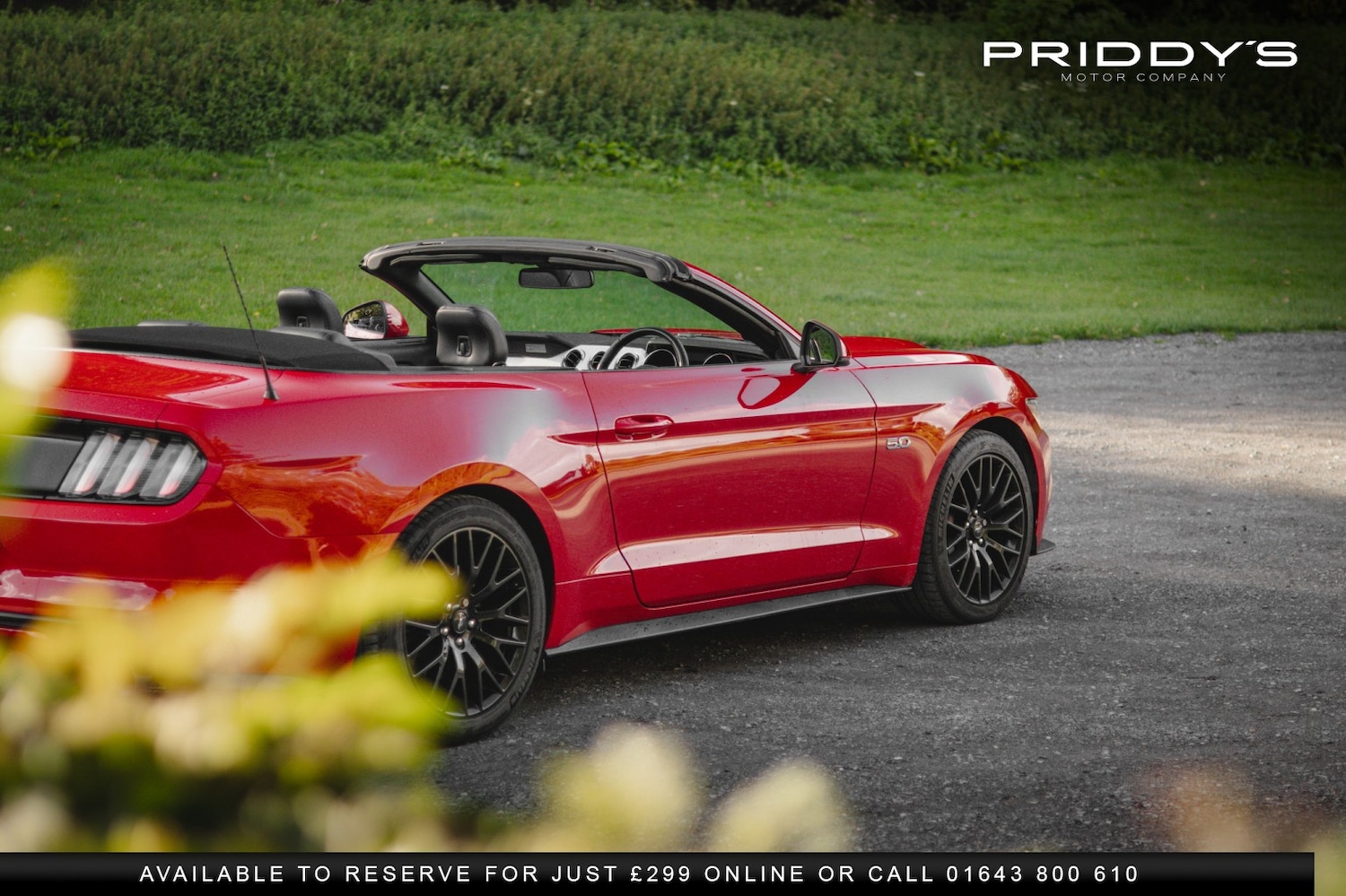 Used Ford Mustang 2016 for sale - 76449364: Photo 13