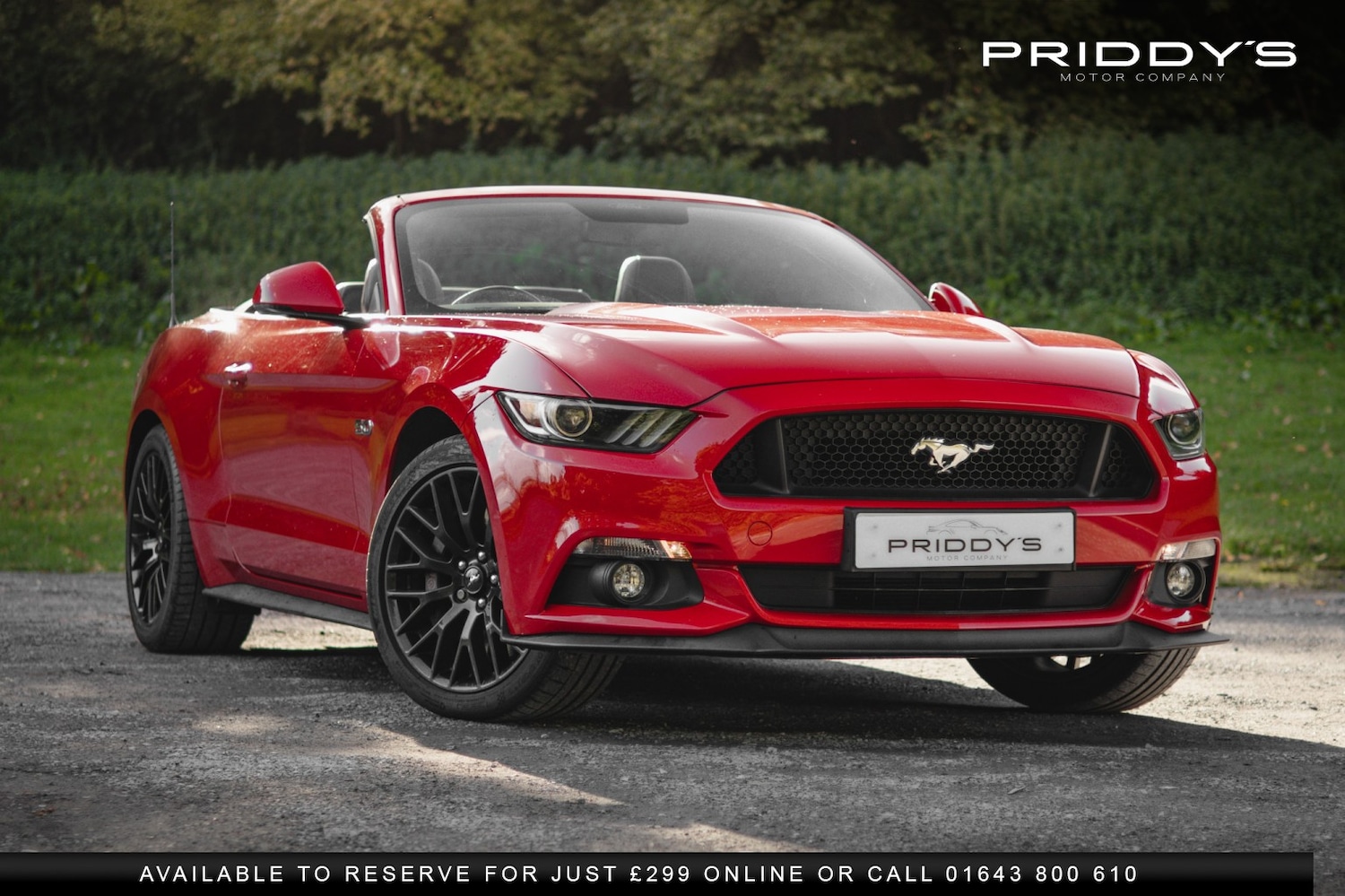 Used Ford Mustang 2016 for sale - 76449364: Photo 38