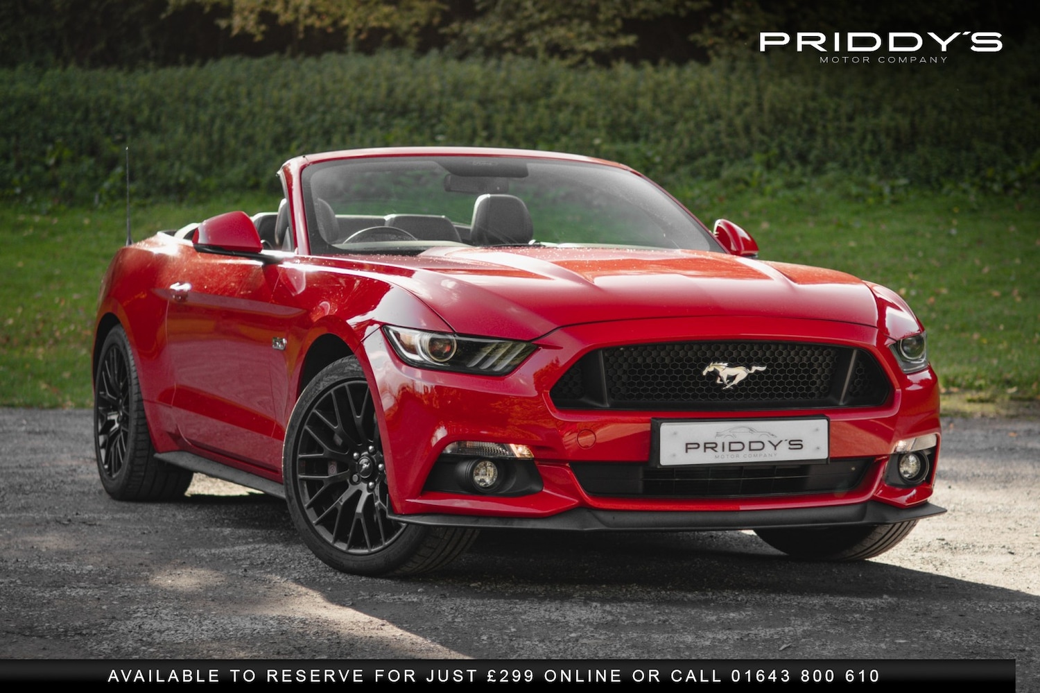 Used Ford Mustang 2016 for sale - 76449364: Photo 39