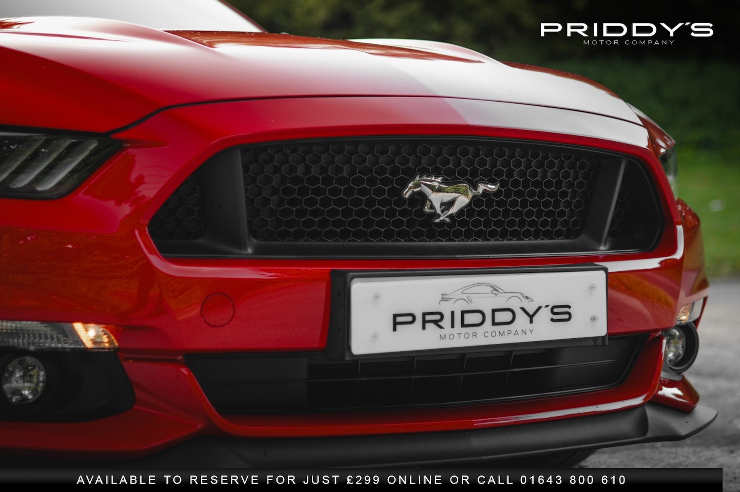 Used Ford Mustang 2016 for sale - 76449364: Photo 42