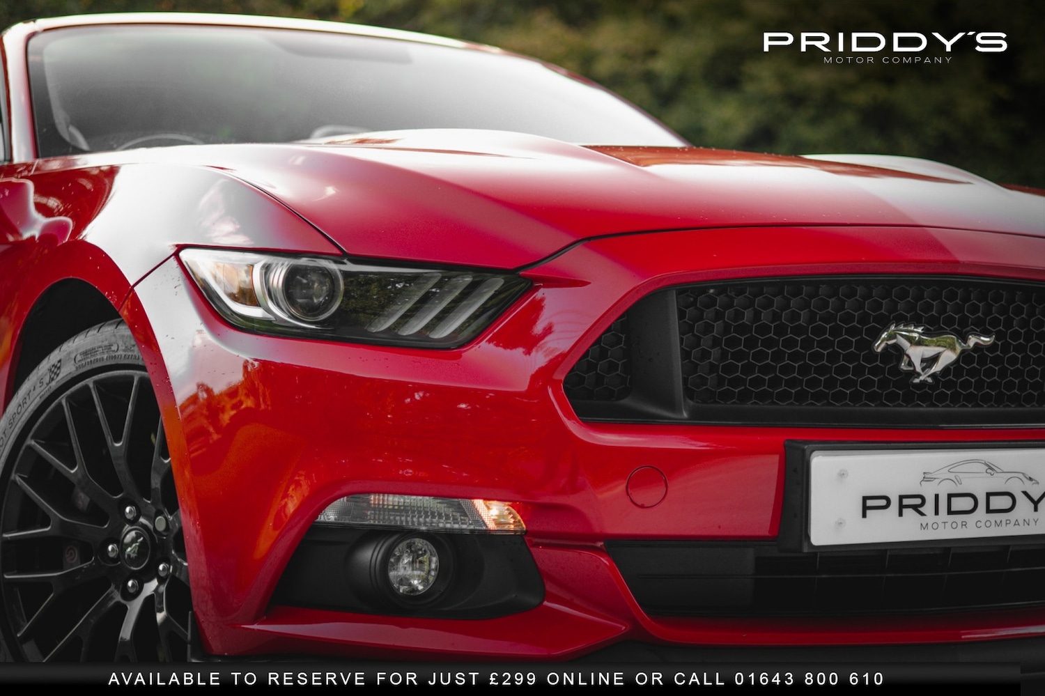 Used Ford Mustang 2016 for sale - 76449364: Photo 43