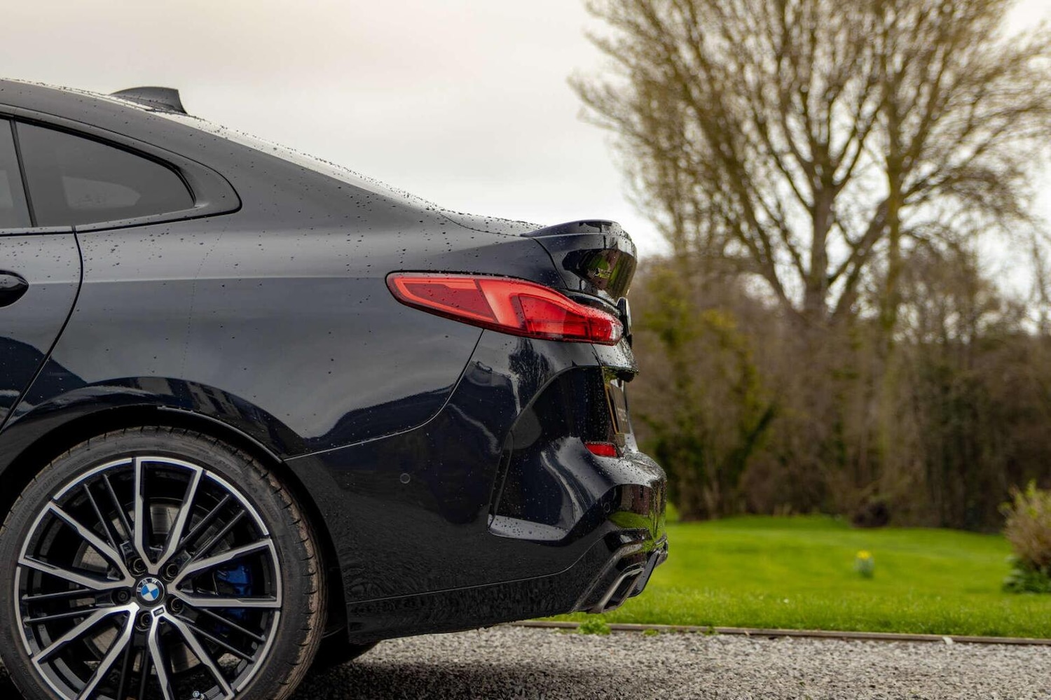 Used BMW 2 Series 2023 for sale - 77881096: Photo 19