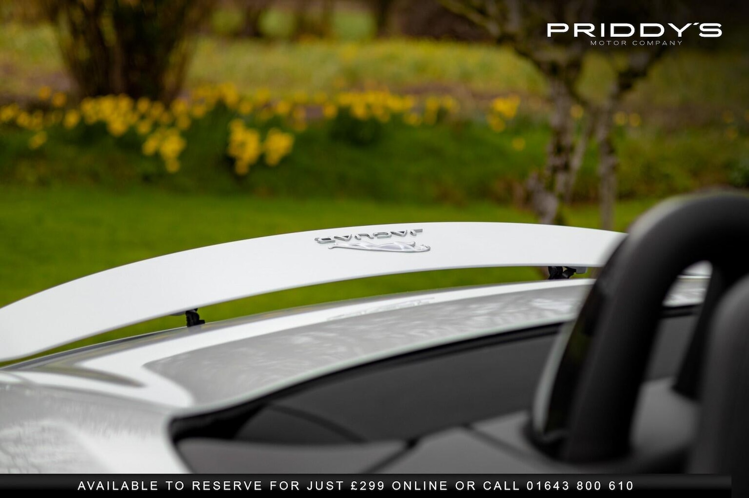 Used Jaguar F-Type 2017 for sale - 77759020: Photo 12