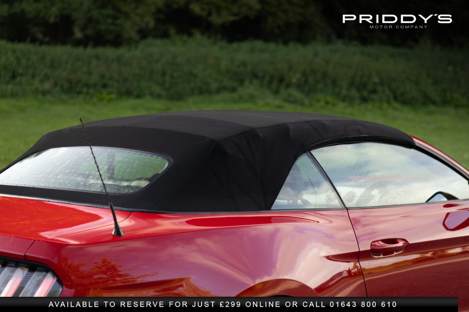 Used Ford Mustang 2016 for sale - 76951126: Photo 53