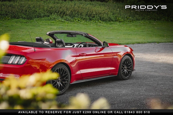 Used Ford Mustang 2016 for sale - 76253016: Photo 14