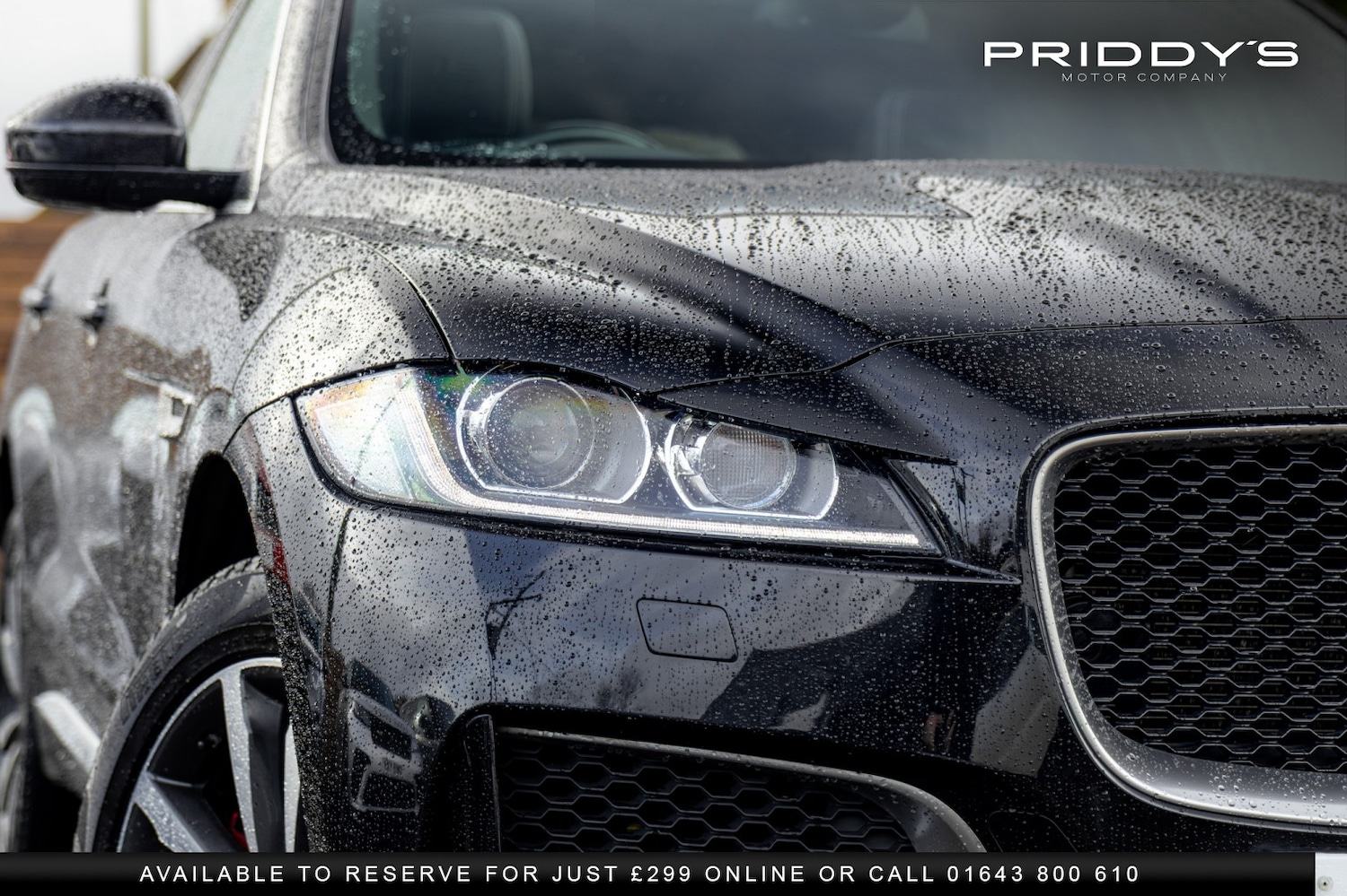 Used Jaguar F-Pace 2016 for sale - 77453212: Photo 12