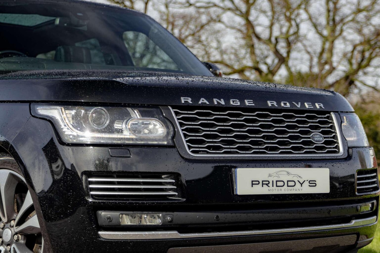 Used Land Rover Range Rover 2015 for sale - 77881065: Photo 31