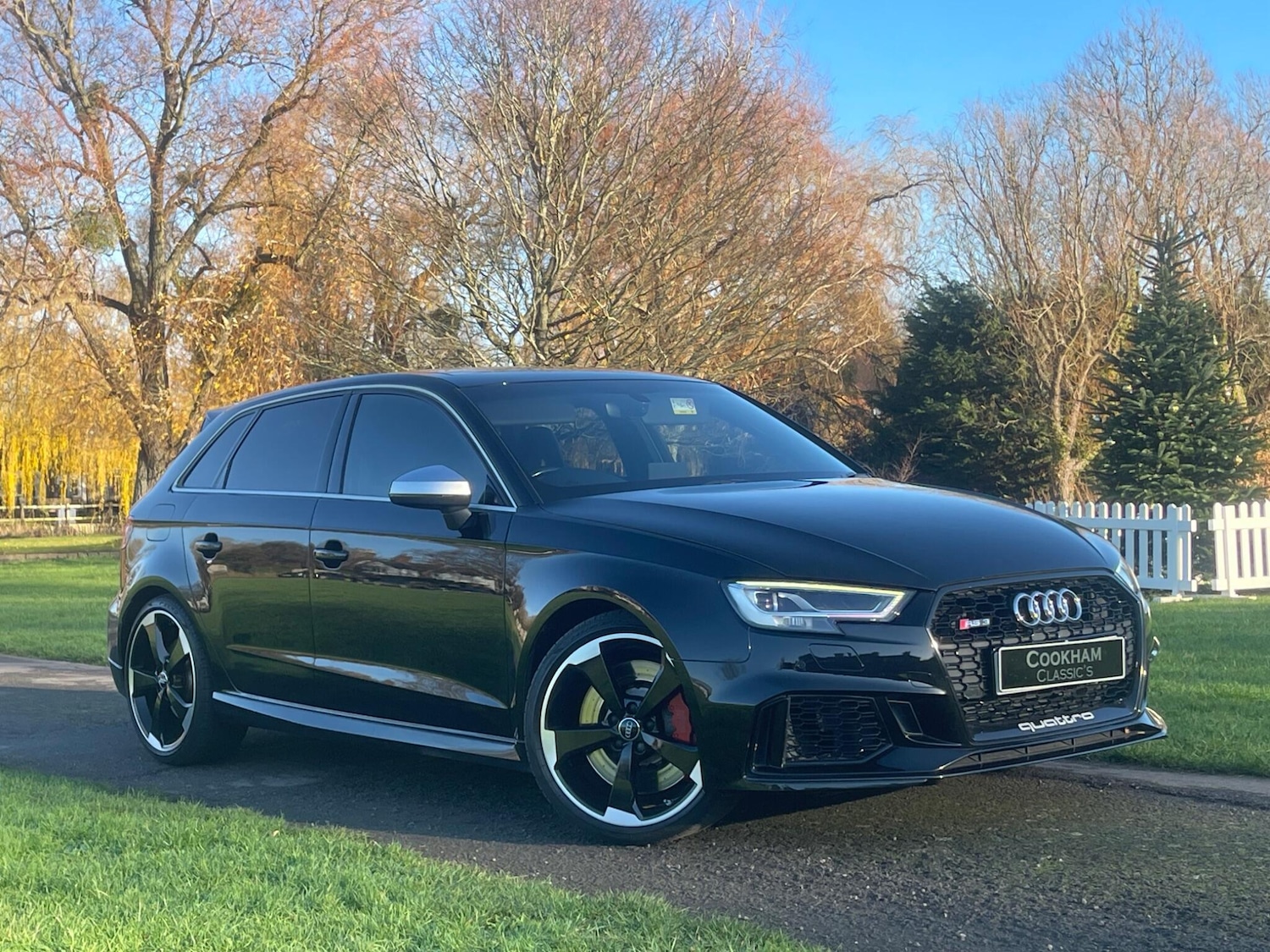 Used Audi RS3 2018 for sale - 77266603: Photo 5