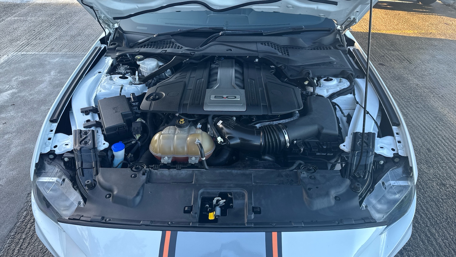 Used Ford Mustang 2020 for sale - 77417370: Photo 8