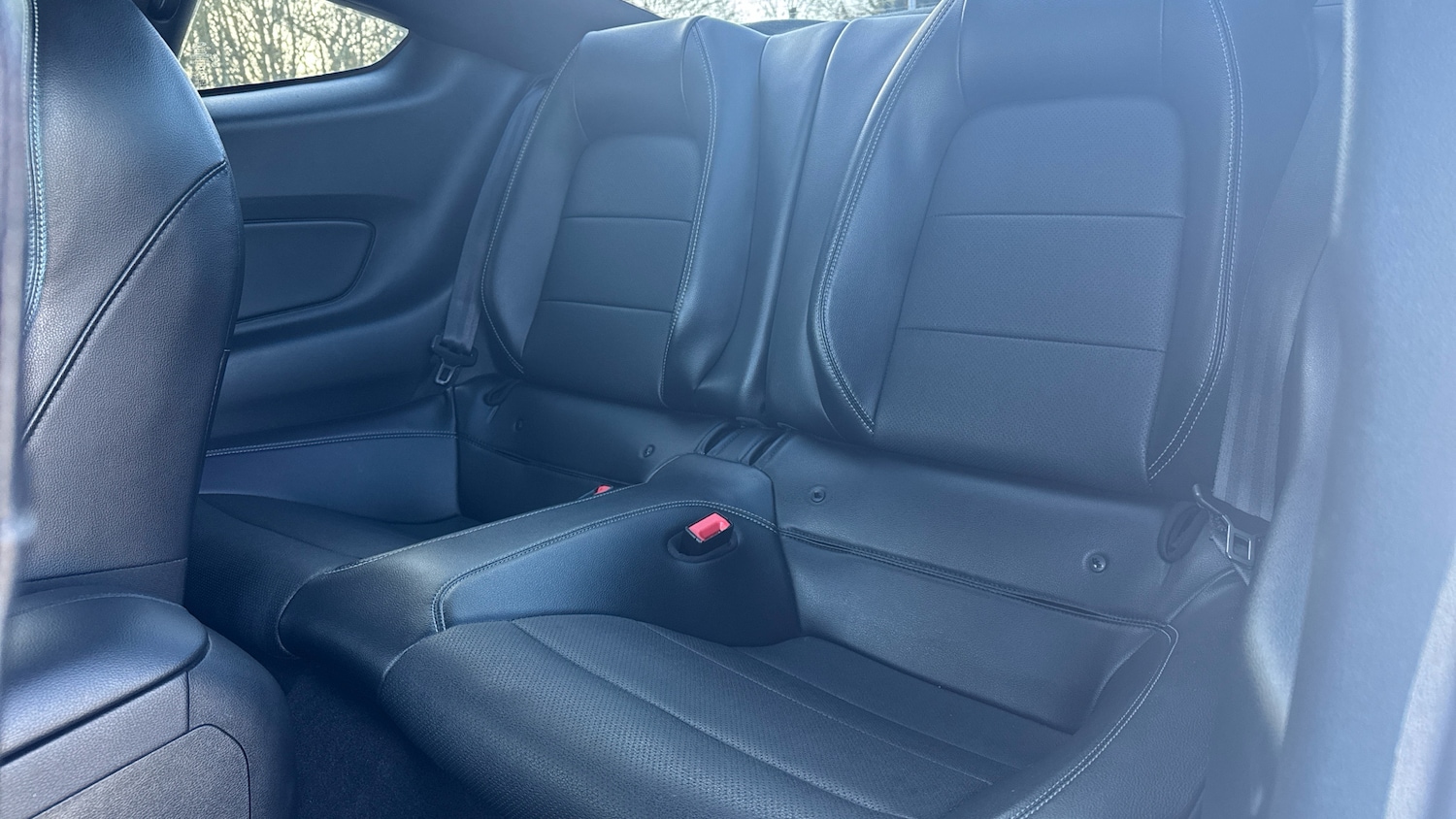 Used Ford Mustang 2020 for sale - 76971851: Photo 16