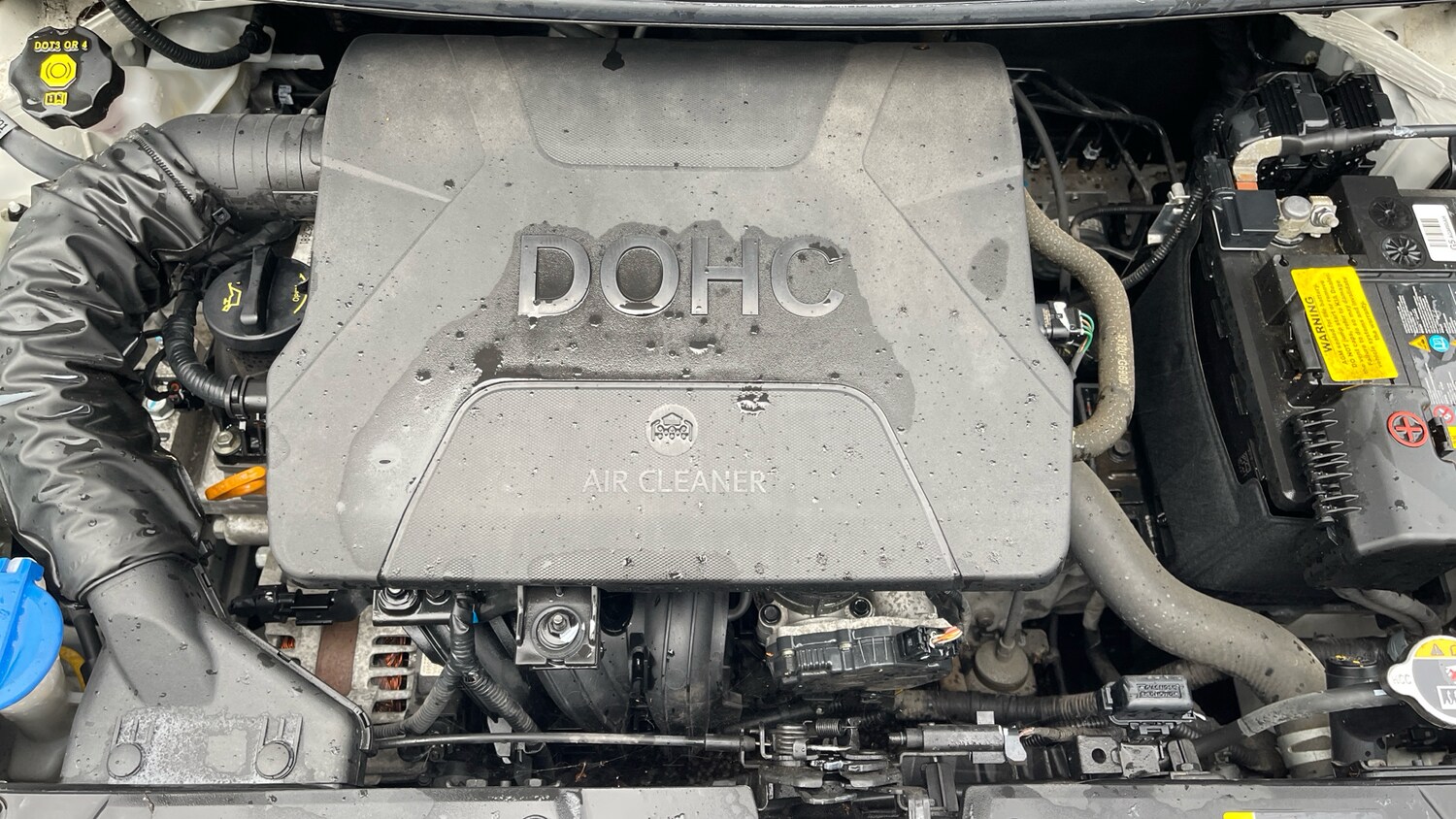 Used Kia Picanto 2020 for sale - 76346904: Photo 16