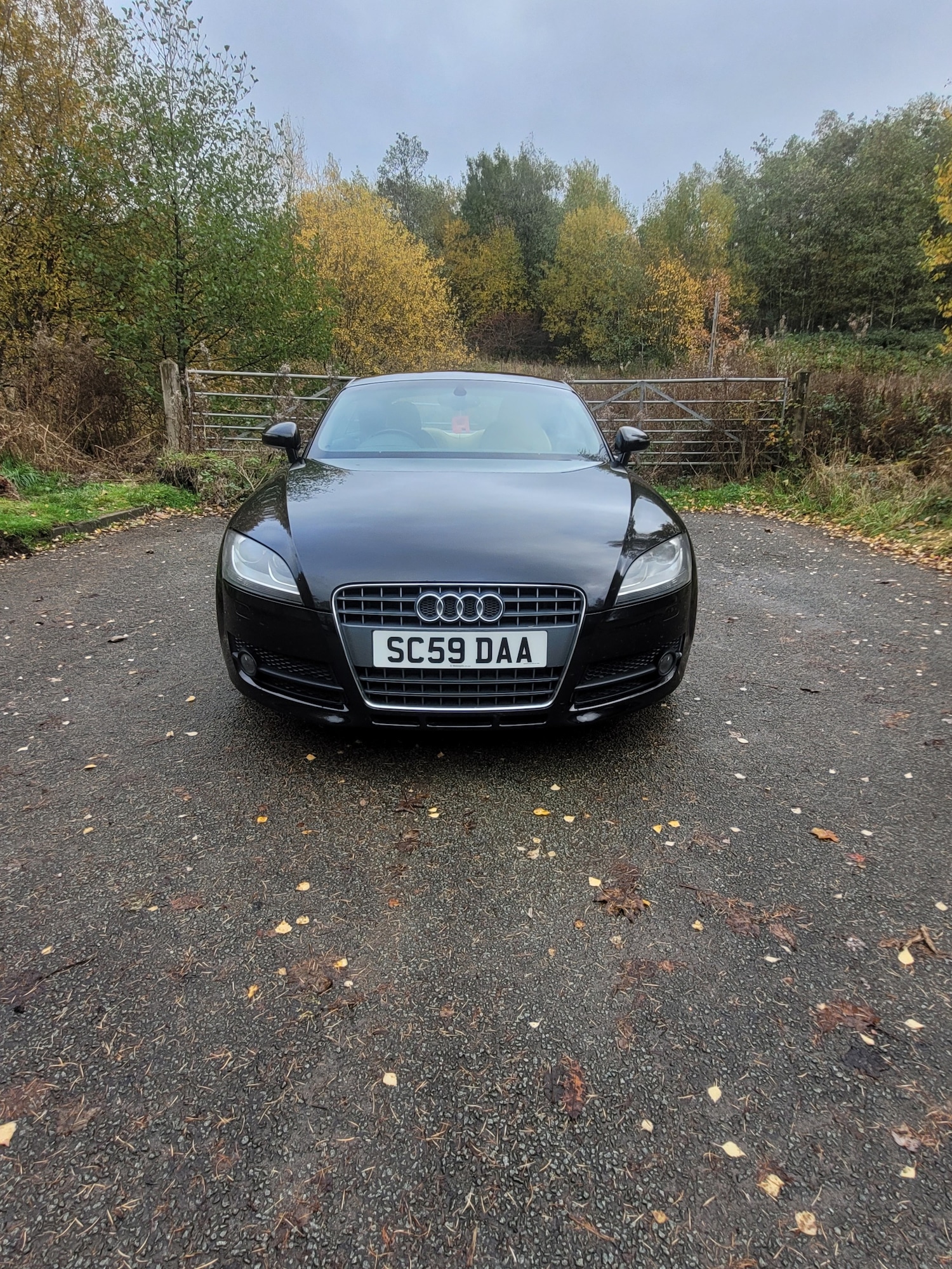 Used Audi TT 2010 for sale - 76454962: Photo 1