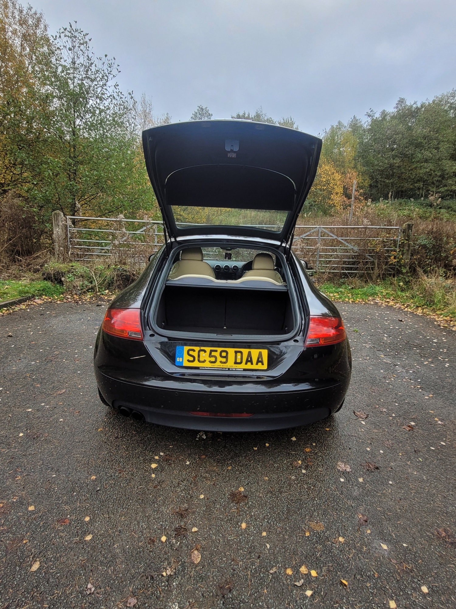 Used Audi TT 2010 for sale - 76454962: Photo 15