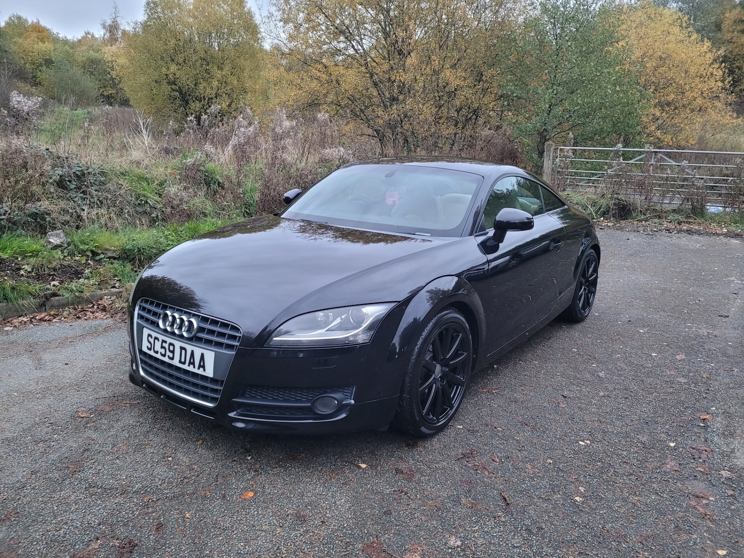 Used Audi TT 2010 for sale - 76454962: Photo 21