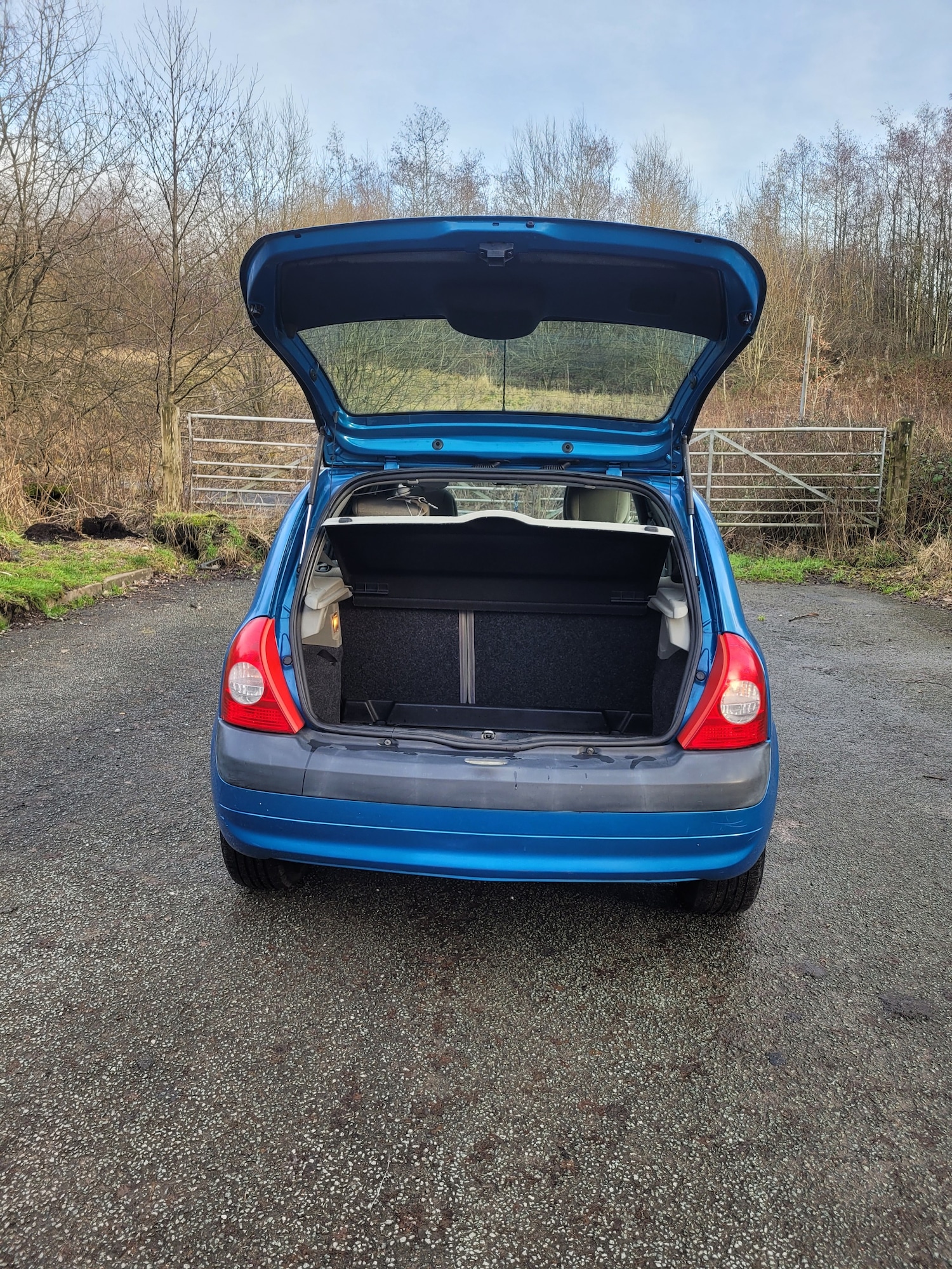 Used Renault Clio 2002 for sale - 77261434: Photo 10