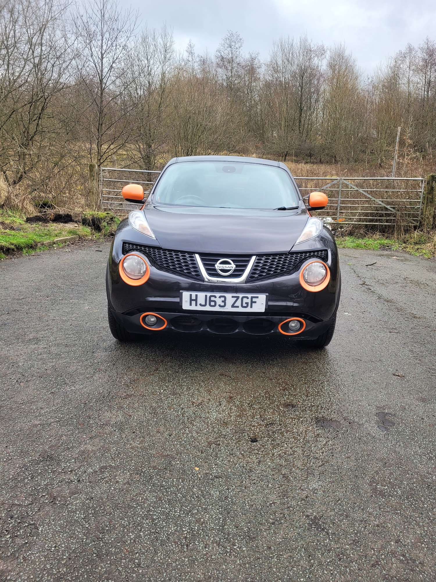 Used Nissan Juke 2014 for sale - 77394926: Photo 1