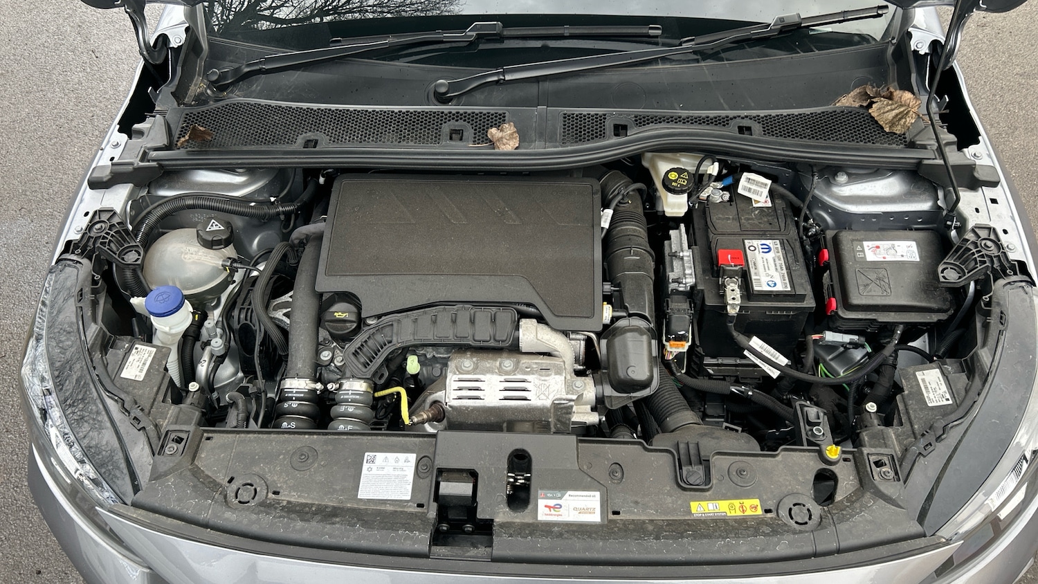 Used Peugeot 208 2025 for sale - 77551283: Photo 18