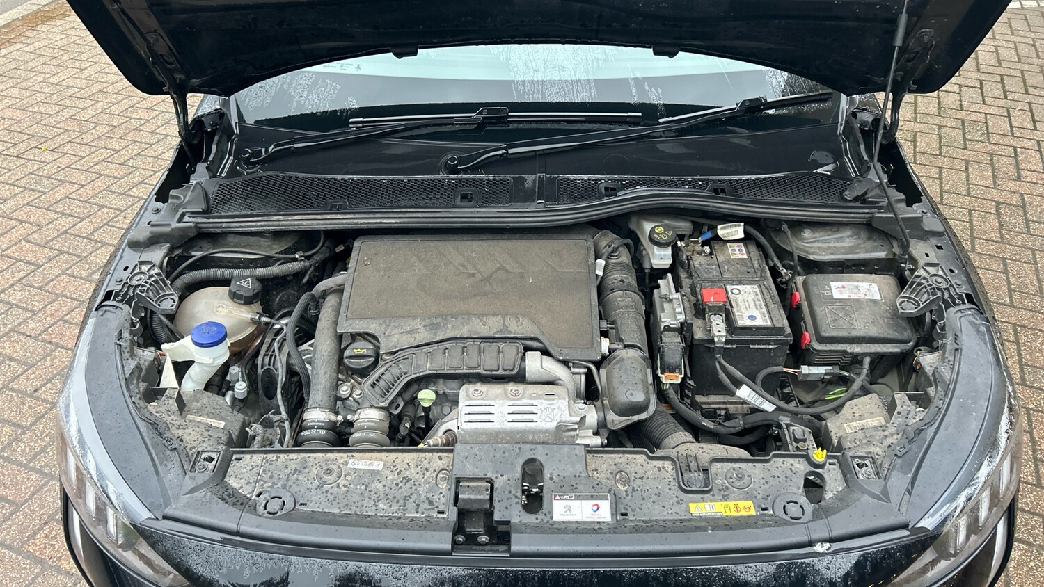 Used Peugeot 208 2022 for sale - 77268705: Photo 18