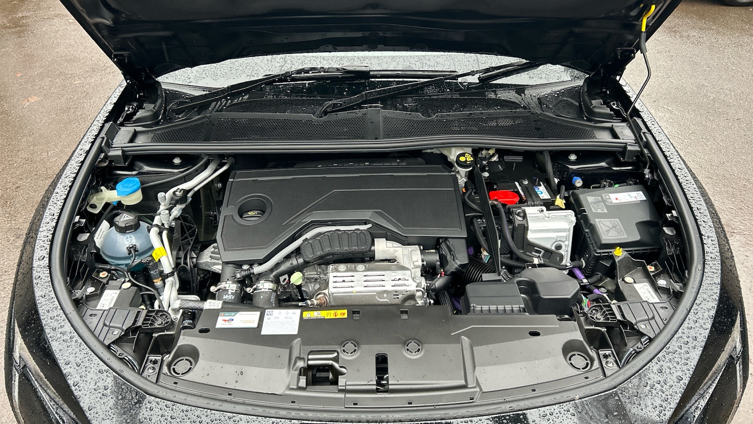 Used Peugeot 408 2025 for sale - 77218100: Photo 19