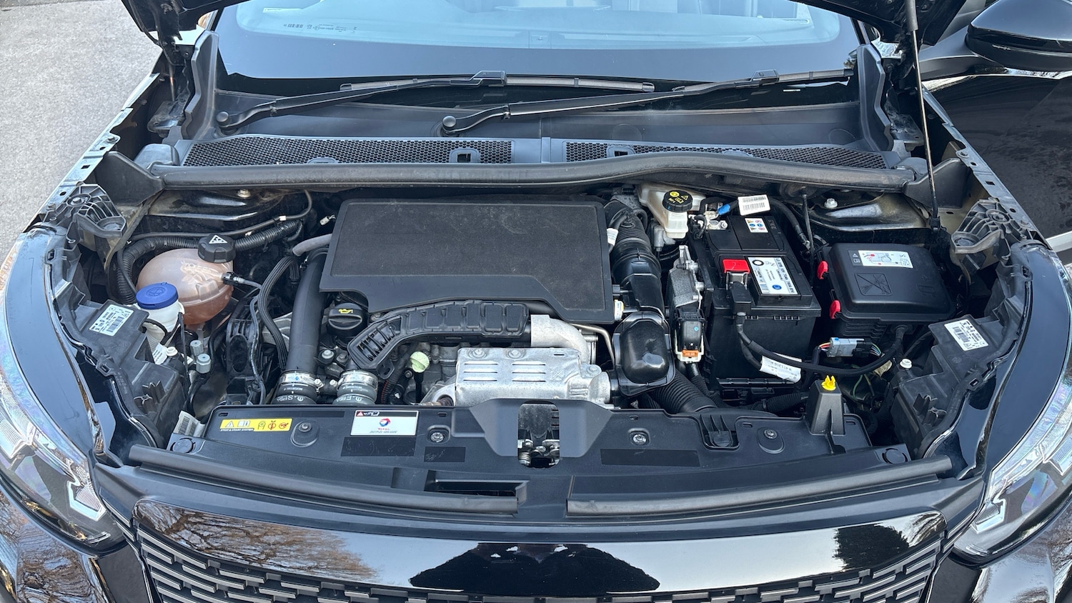 Used Peugeot 2008 2023 for sale - 77587829: Photo 18