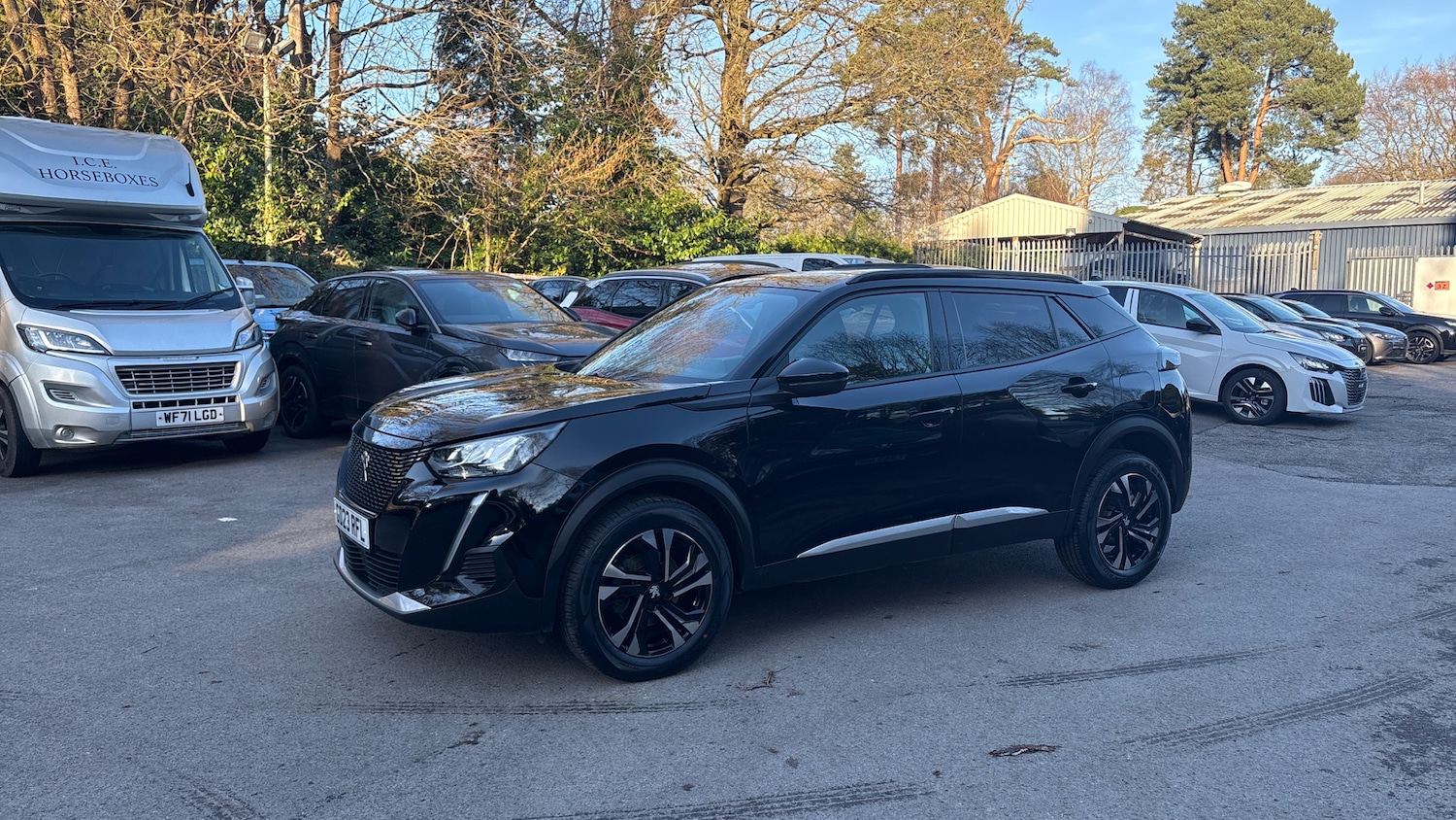 Used Peugeot 2008 2023 for sale - 77587829: Photo 7