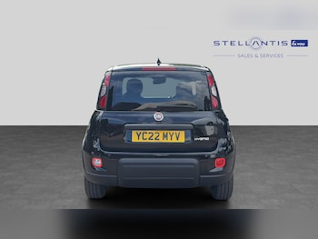Used Fiat Panda 2022 for sale - 79050441: Photo