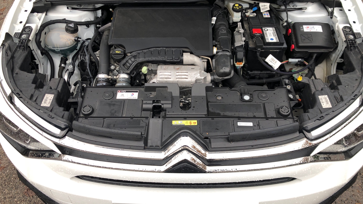 Used Citroen C4 2022 for sale - 76667812: Photo 19