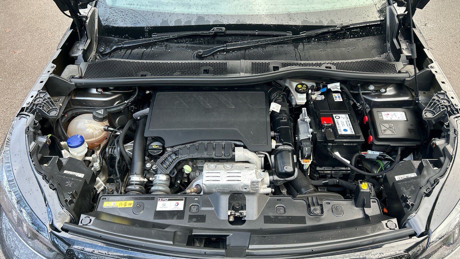 Used Peugeot 2008 2022 for sale - 77218101: Photo 18