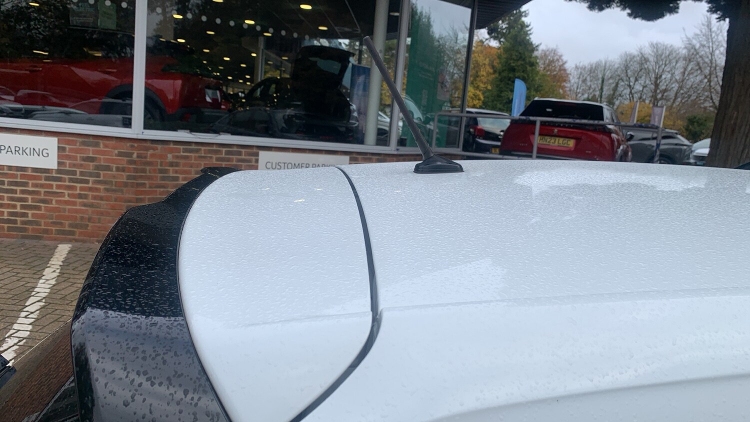 Used Volkswagen Polo 2020 for sale - 76474379: Photo 43