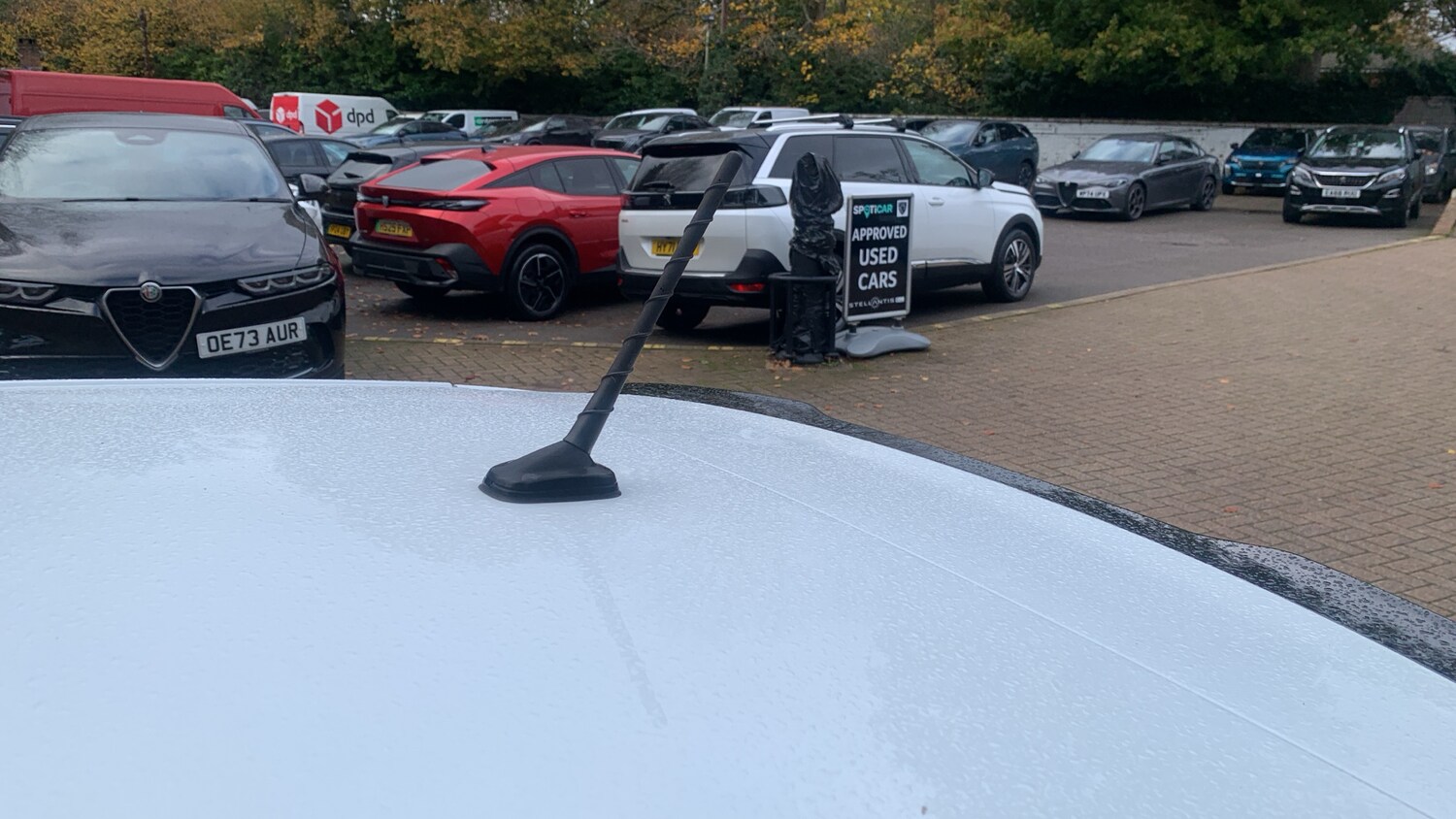 Used Volkswagen Polo 2020 for sale - 76474379: Photo 48