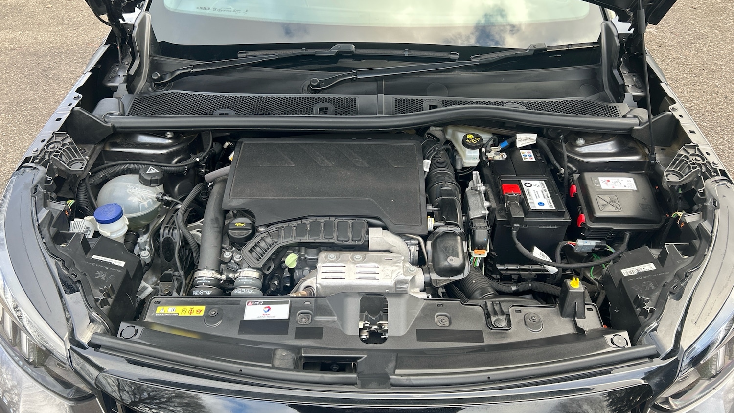 Used Peugeot 2008 2023 for sale - 77239198: Photo 18