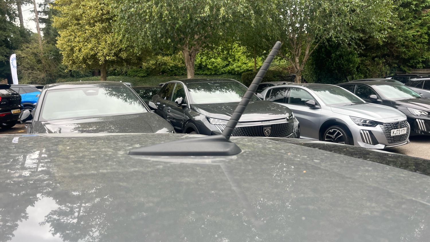 Vehicle 44