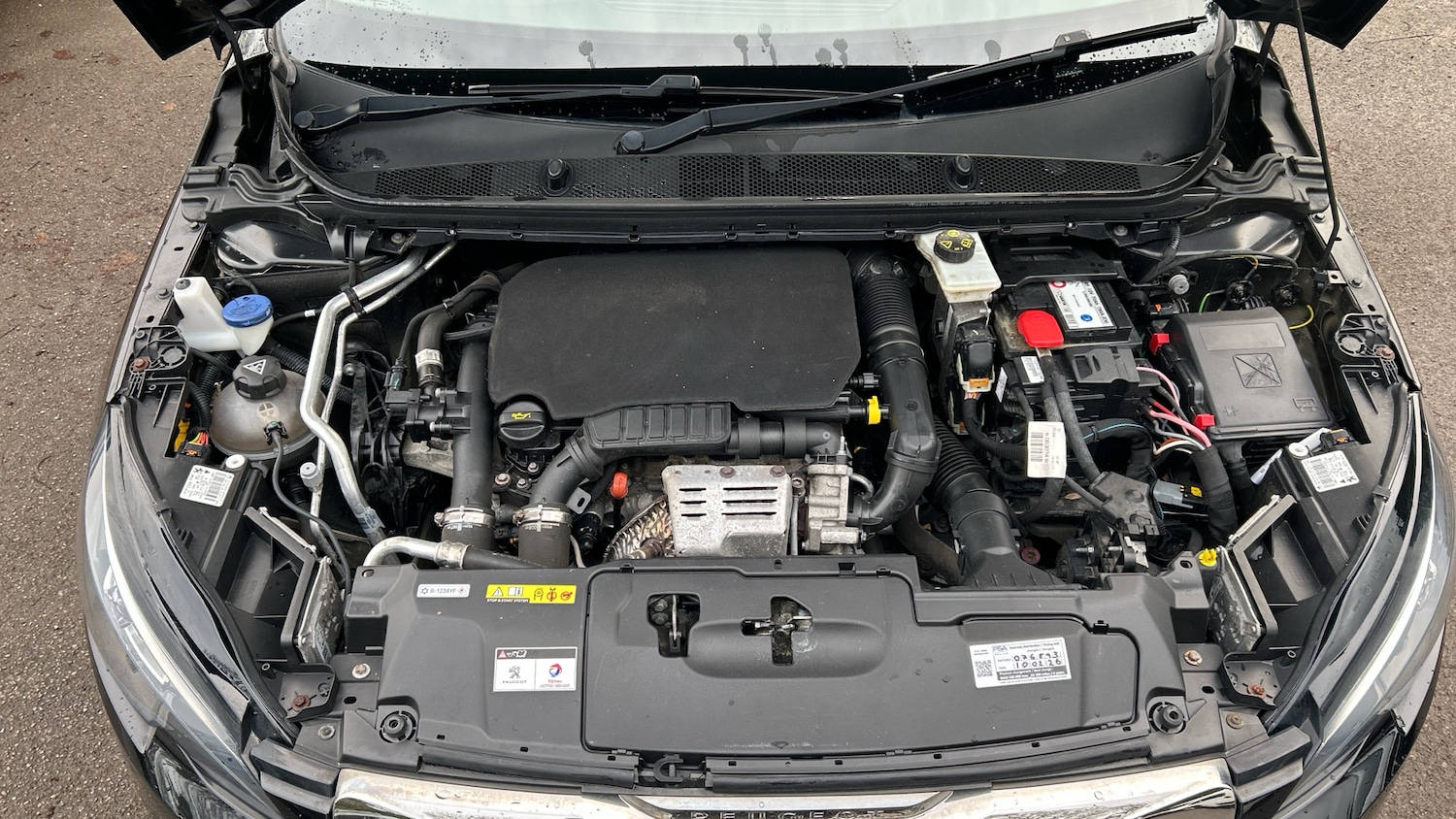 Used Peugeot 308 2017 for sale - 77638045: Photo 18