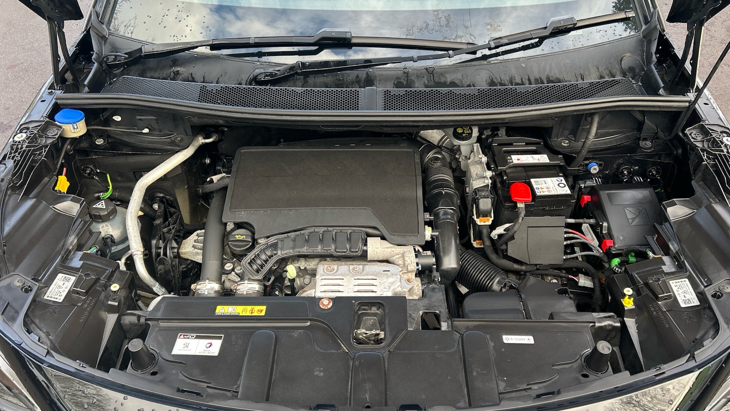 Used Peugeot 5008 2022 for sale - 77204878: Photo 19