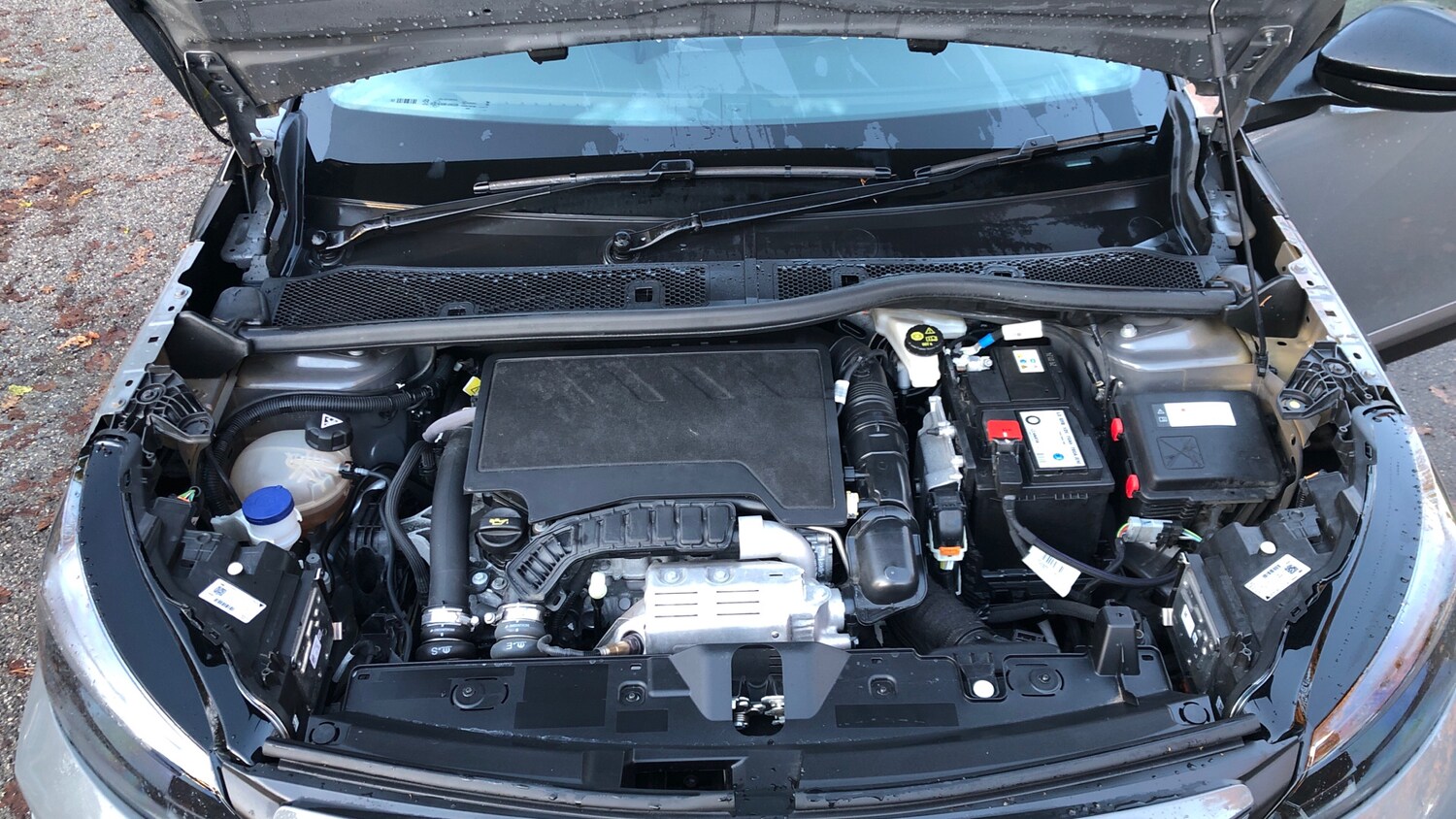 Used Peugeot 2008 2024 for sale - 76690689: Photo 19