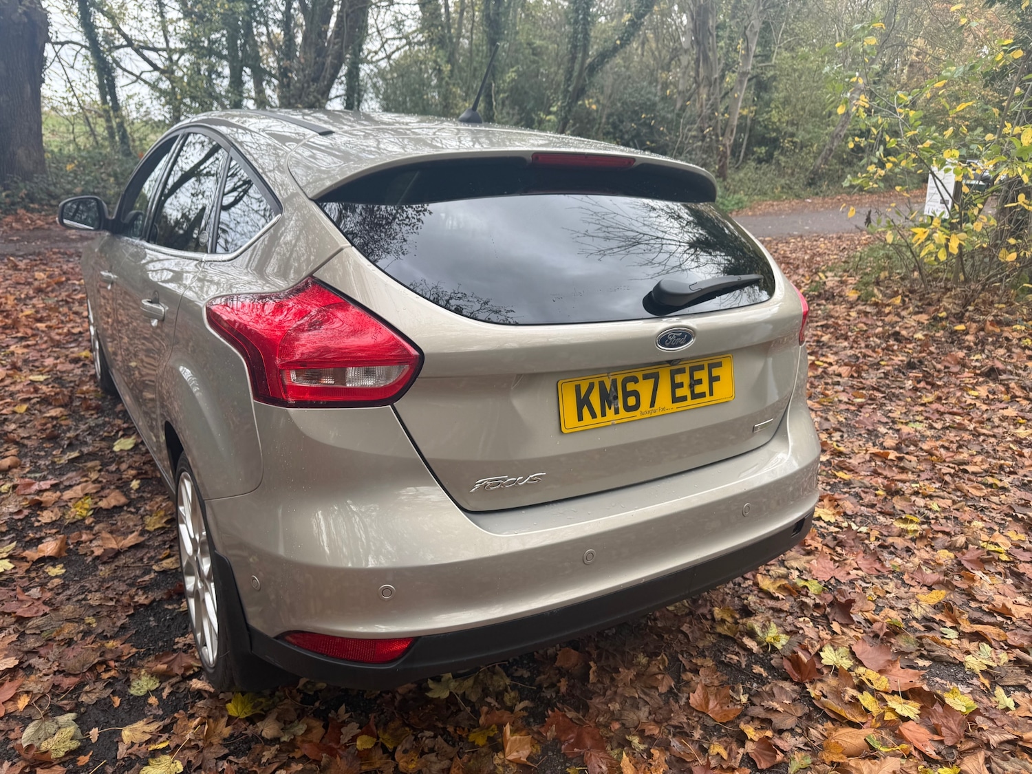 Used Ford Focus 2017 for sale - 77091935: Photo 5