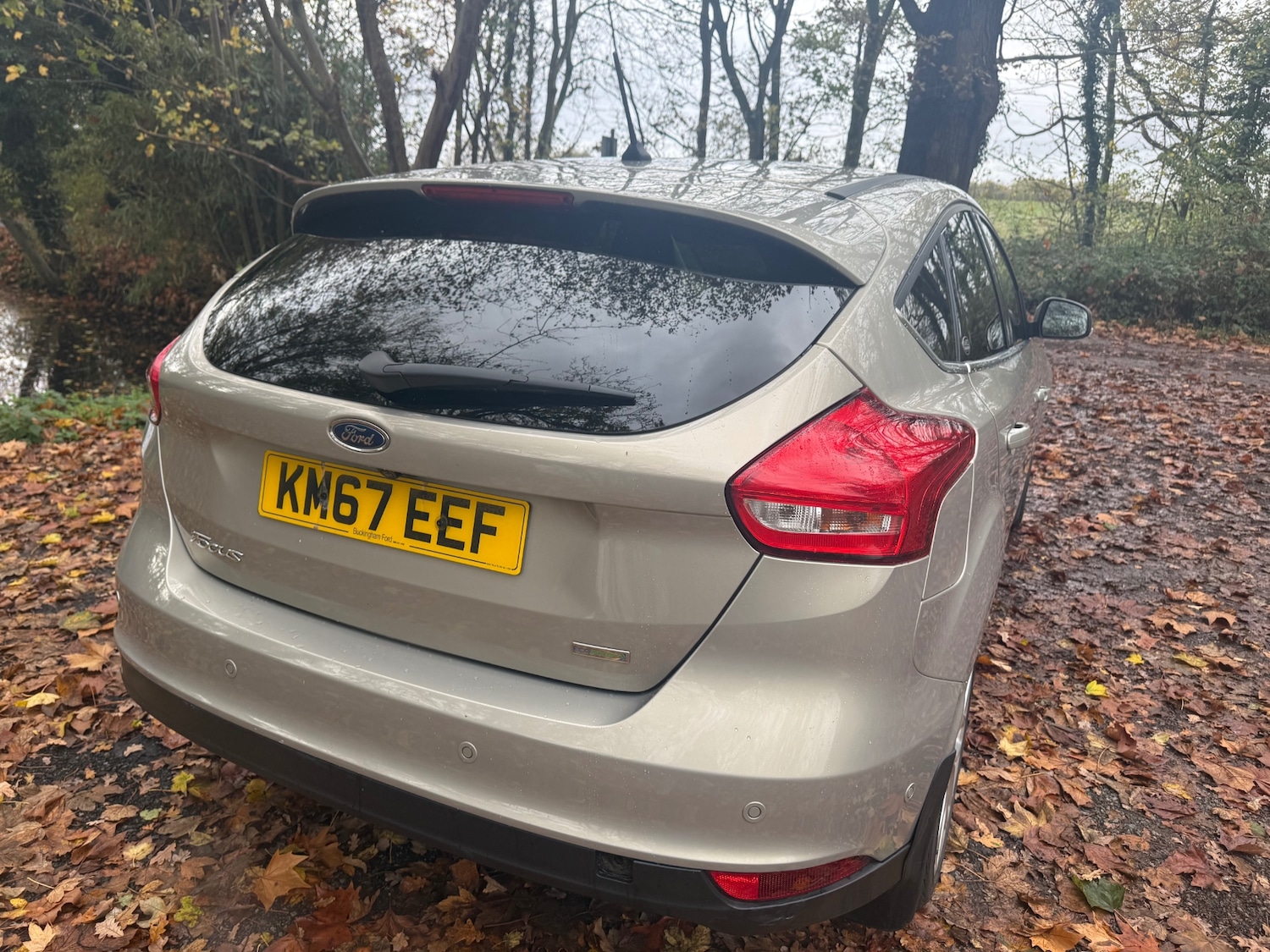 Used Ford Focus 2017 for sale - 77091935: Photo 6