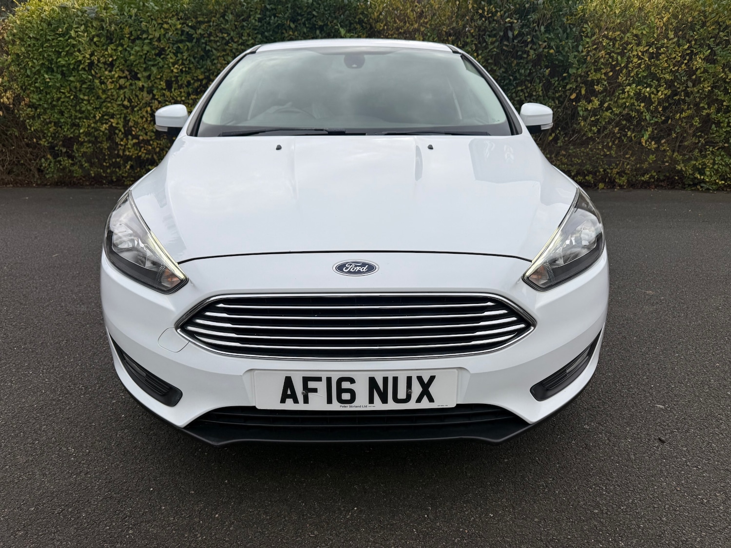 Used Ford Focus 2016 for sale - 76933511: Photo 2