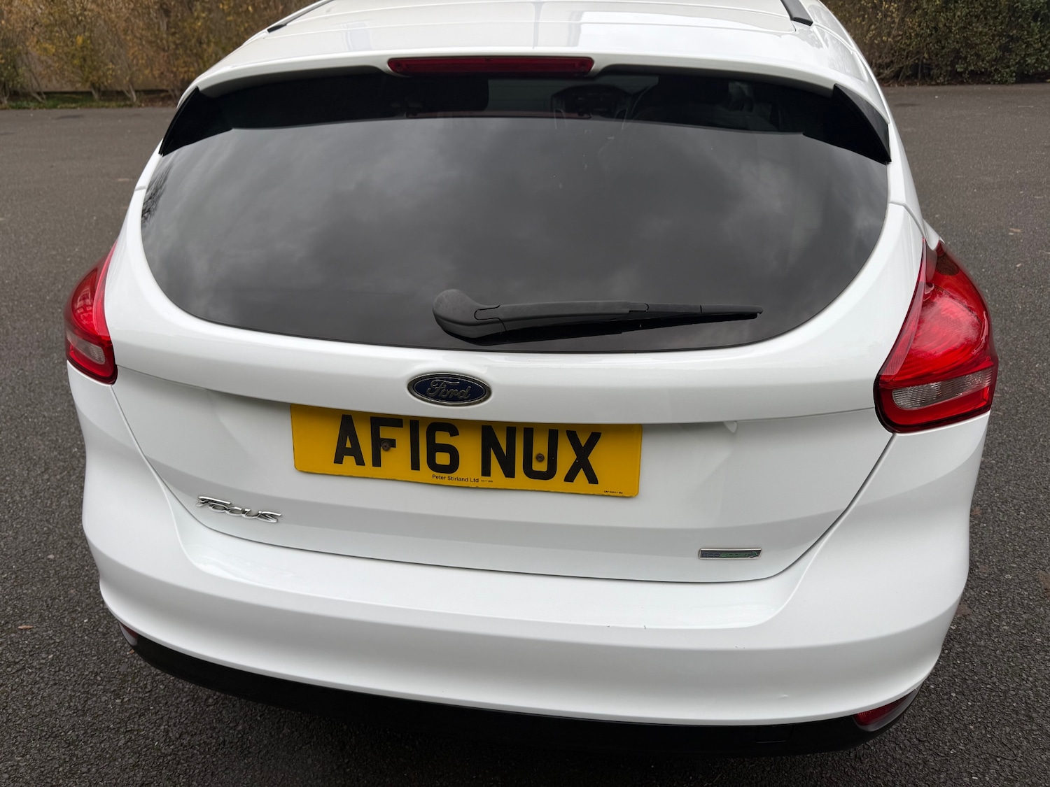 Used Ford Focus 2016 for sale - 76933511: Photo 8