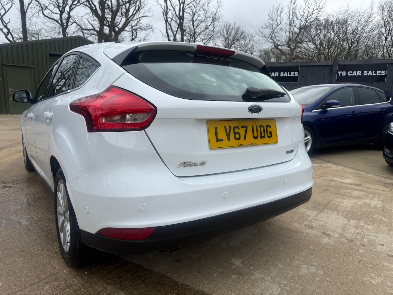 Used Ford Focus 2017 for sale - 77617783: Photo 9