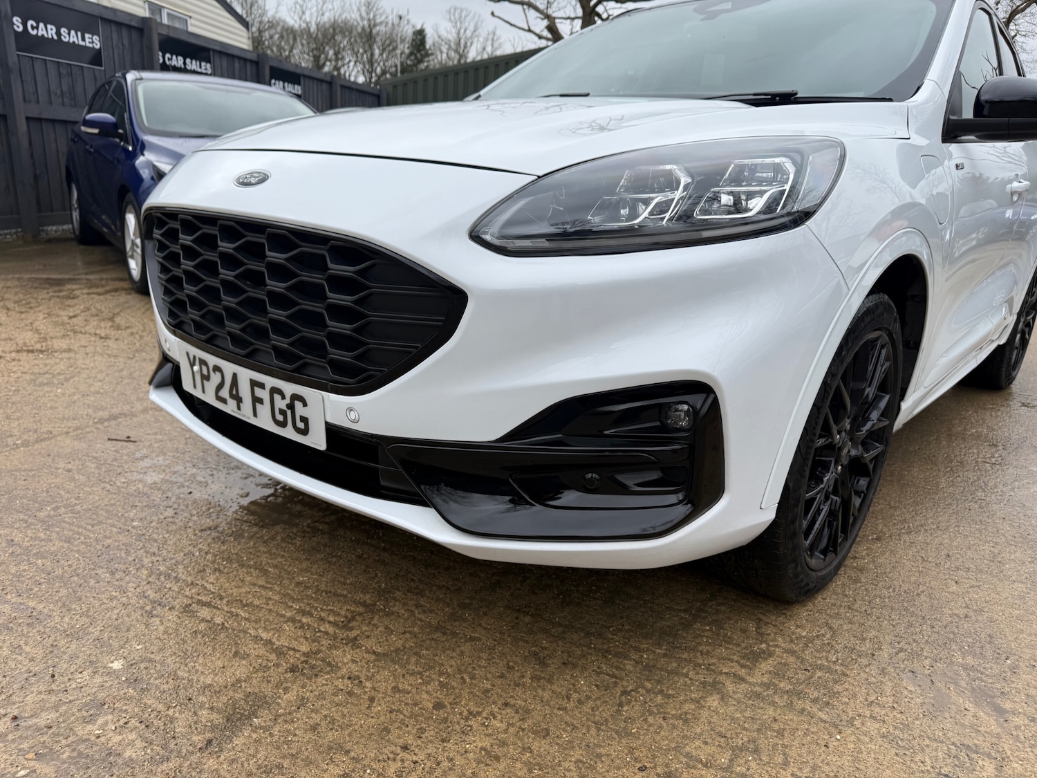 Used Ford Kuga 2024 for sale - 77631060: Photo 12