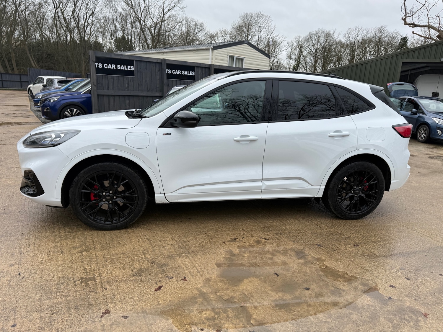 Used Ford Kuga 2024 for sale - 77631060: Photo 14