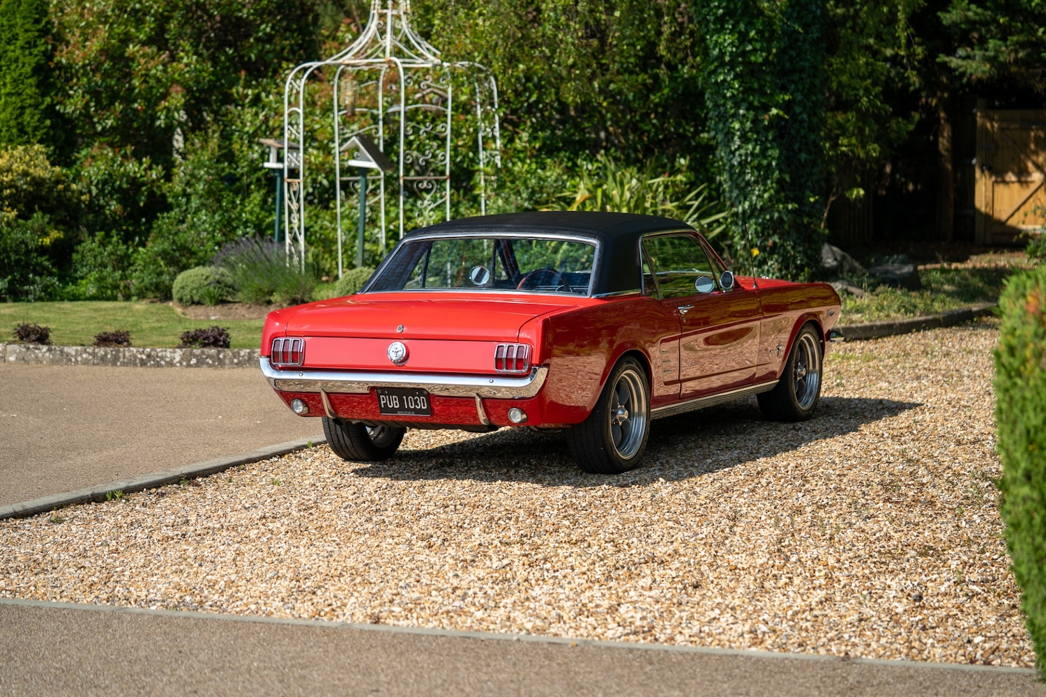 Used Ford Mustang 2021 for sale - 77026231: Photo 10