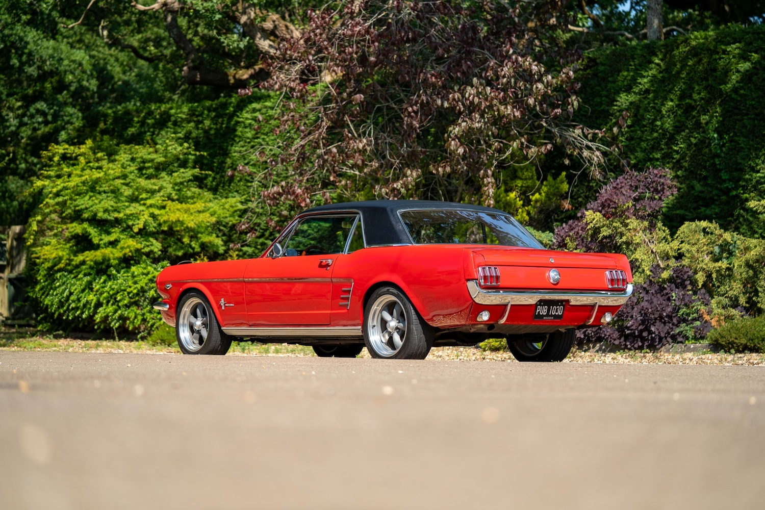 Used Ford Mustang 2021 for sale - 77026231: Photo 3