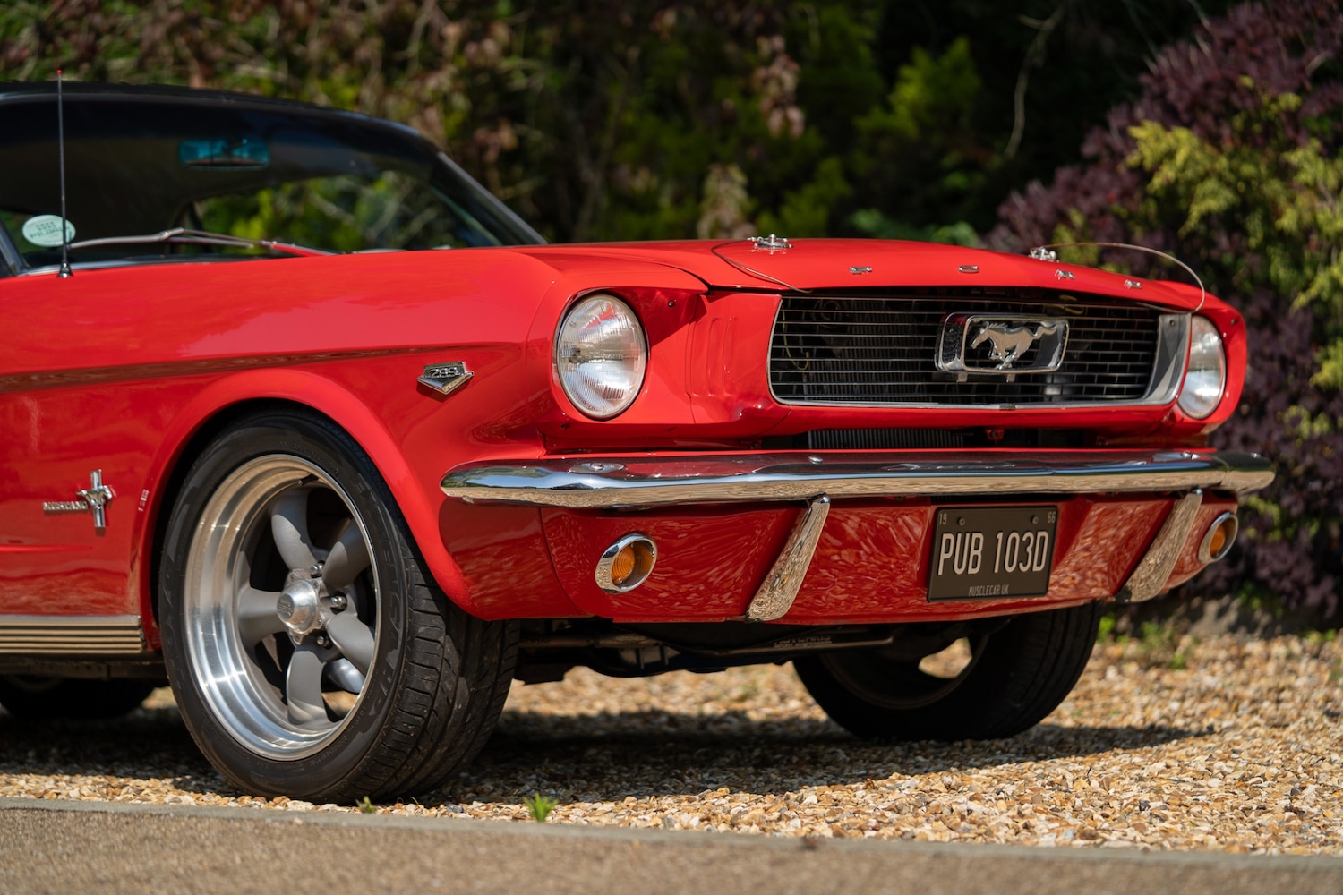 Used Ford Mustang 2021 for sale - 77026231: Photo 45