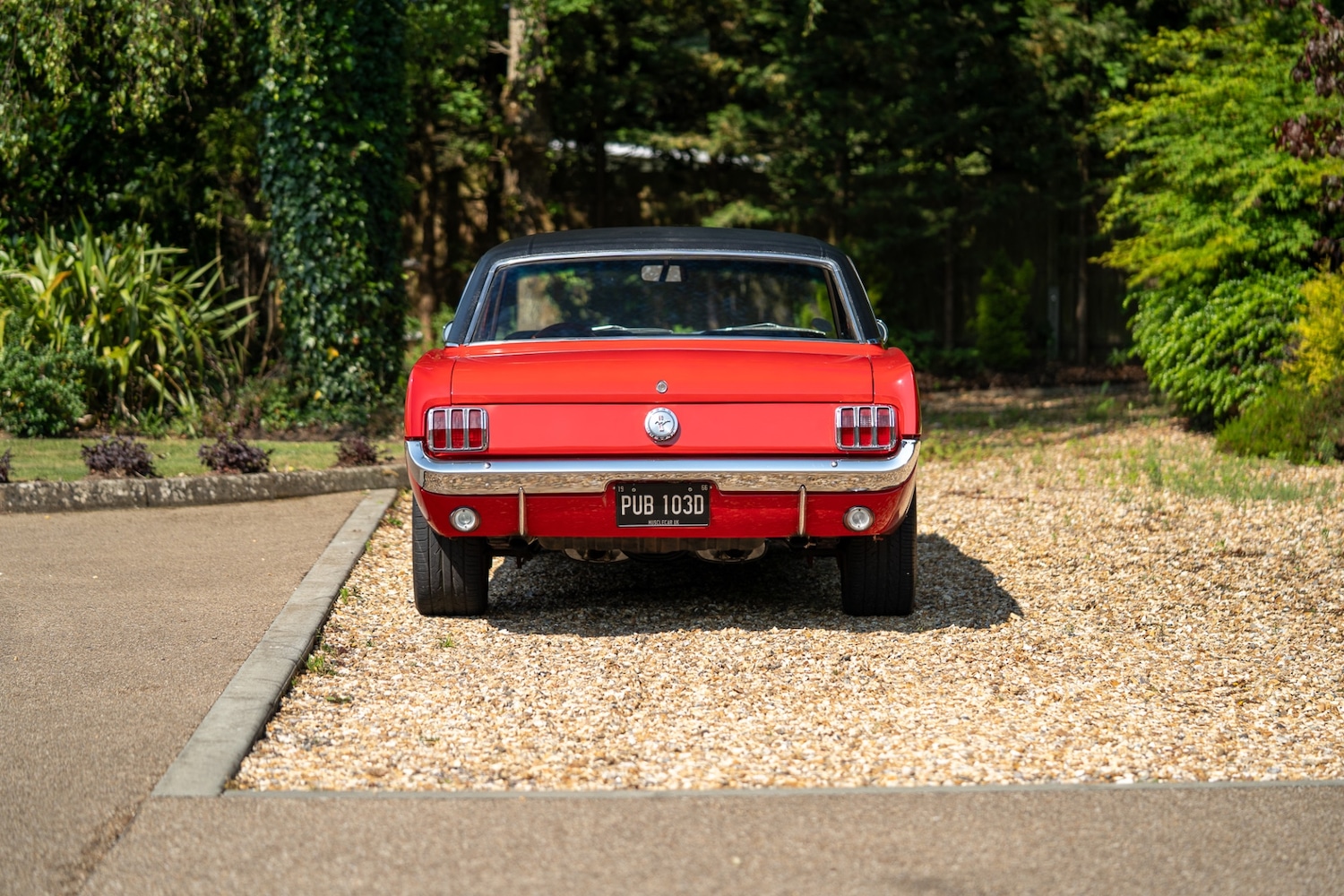 Used Ford Mustang 2021 for sale - 77026231: Photo 8