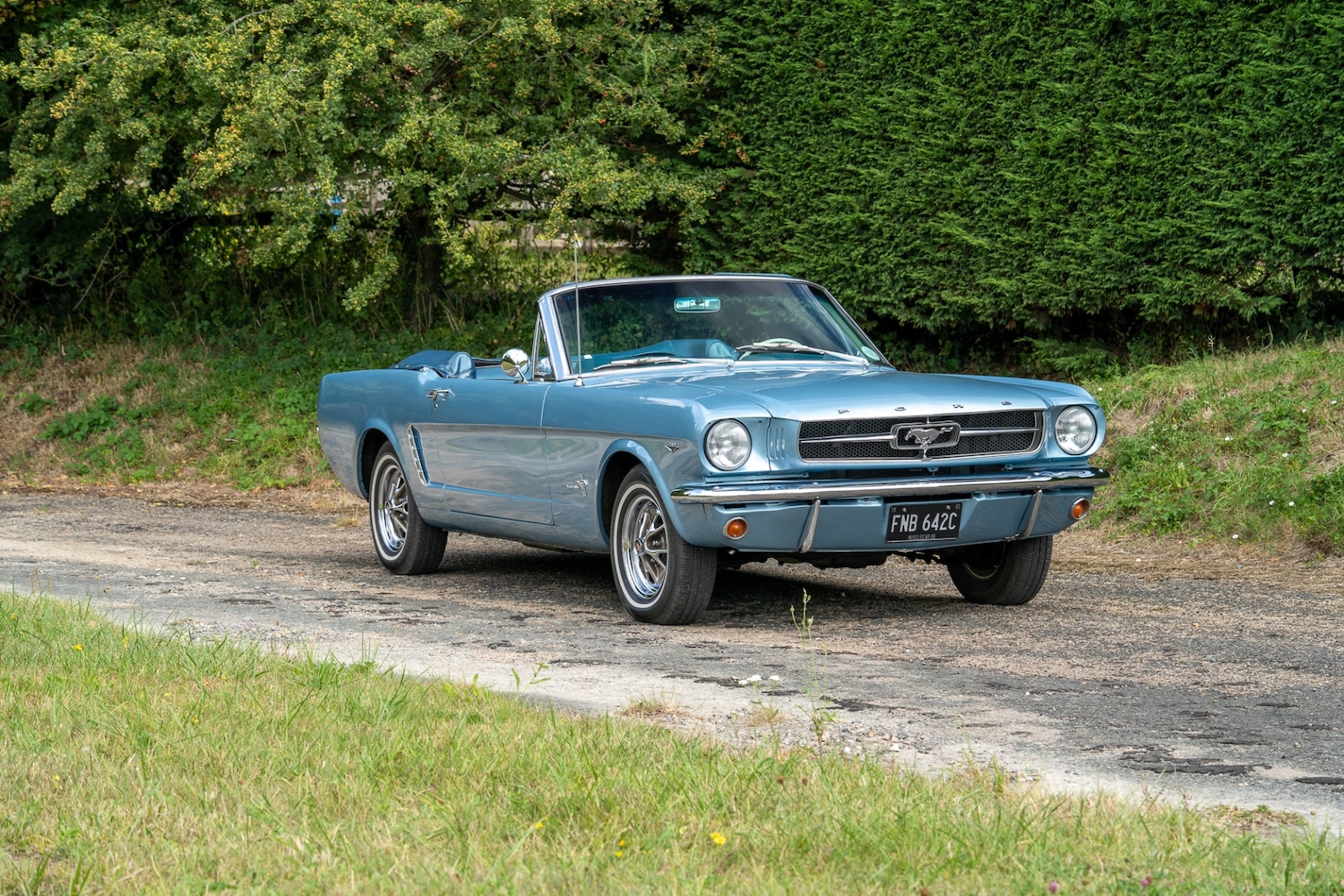 Used Ford Mustang 2019 for sale - 76288652: Photo 1