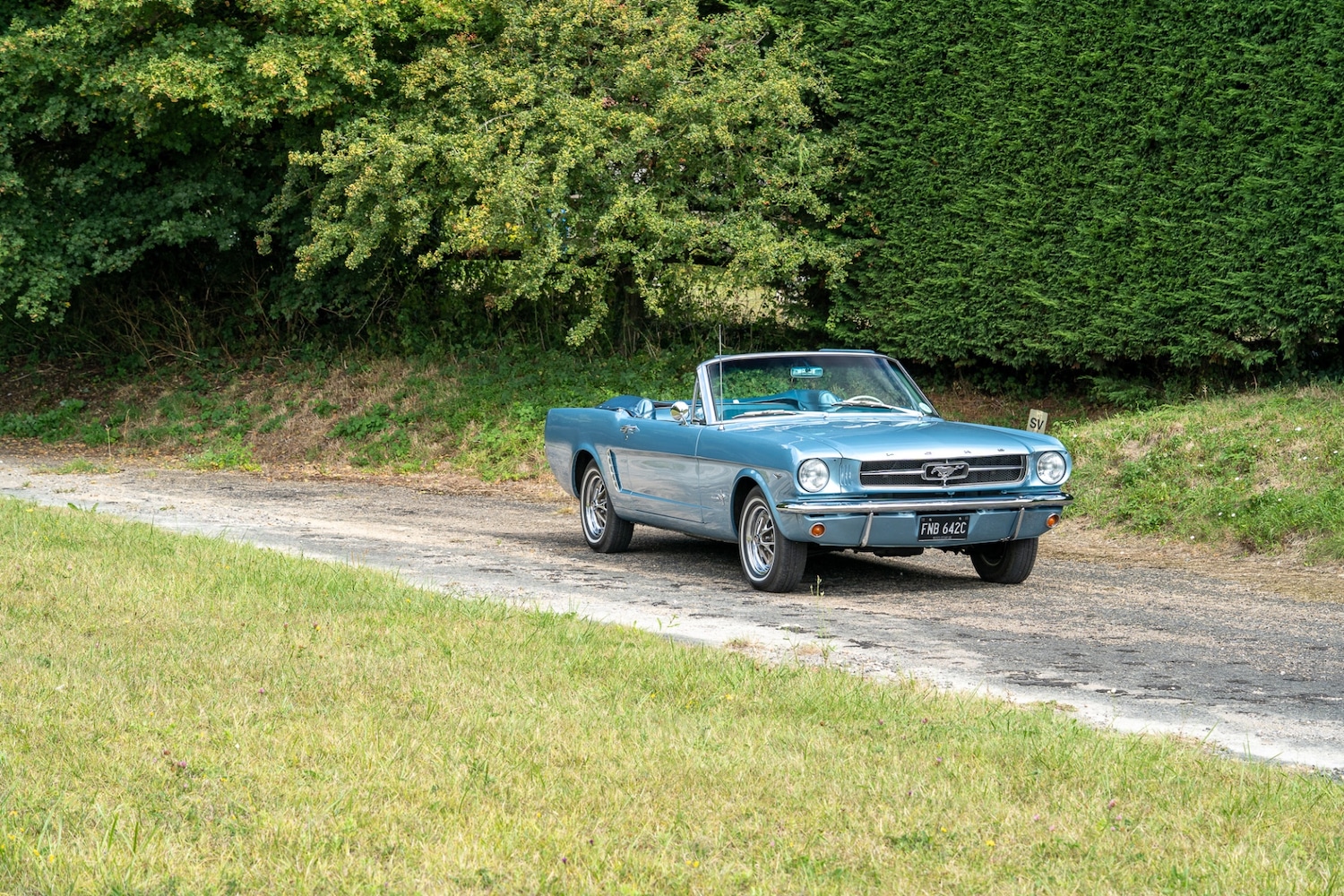 Used Ford Mustang 2019 for sale - 76288652: Photo 13